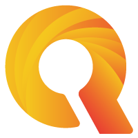 vnforexss.com favicon